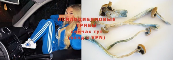 mix Алексеевка