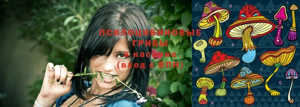 первитин Навашино