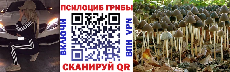 Псилоцибиновые грибы GOLDEN TEACHER  Приволжский 