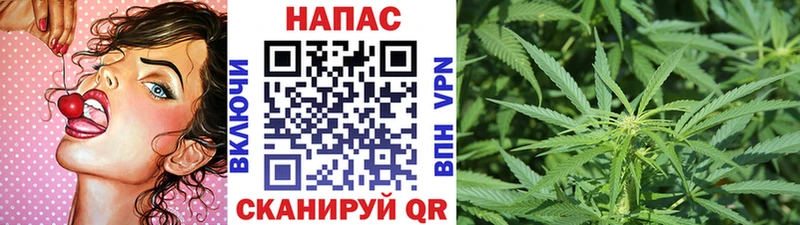 Каннабис Amnesia  Приволжский 